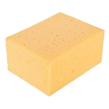 Absorptive sponge