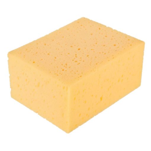 Absorptive sponge