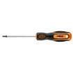 Kruvikeeraja torx T20x100mm