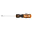 Kruvikeeraja torx T25x100mm