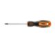 Kruvikeeraja torx T25x100mm