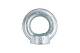 Lifting eye nut DIN 582 M12, Zn (2/pc)
