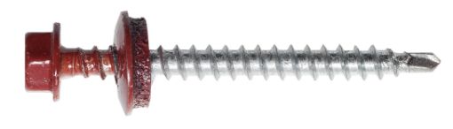 Farmer screw 4,8x55, Zn-RR29 (10/pc)