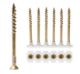 Terrace screw collated 4,2x55, NANO (1000/pc)