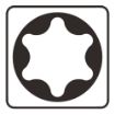 Otsik T10x50mm (3tk./pk.)