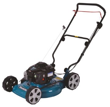Muruniiduk48 cm