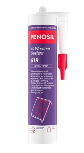Penosil All Weather Sealant 919 300ml veekindel hermeetik, hall