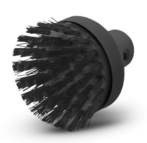 Suur ümmargune hari aurupesurile