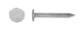 Roofing nail 3x25 HDG 200g ca. 120 pce