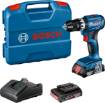 GSB 18V-45 2x 2.0Ah, GAL 18V-20, L-Case