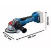 GWX 18V-10 P (solo; C) Carton