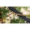 EasyHedgeCut18V-44-11,1x2 Akuhekikäärid