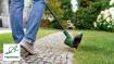 EasyGrassCut 18V-26 solo Akutrimmer