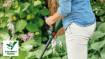 EasyGrassCut 18V-26 solo Akutrimmer
