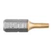 TX10 x 25 mm screwdriver bits, 2 pcs.