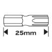 TX10 x 25 mm screwdriver bits, 2 pcs.