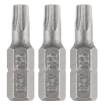Torx bits T25 x 25 mm, 3 pcs