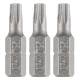 Torx bits T25 x 25 mm, 3 pcs