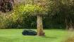 Indego S robotic mower