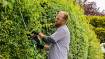 AdvancedHedgeCut 65 hedge trimmer 500W