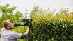 AdvancedHedgeCut 65 hedge trimmer 500W