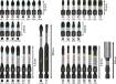 Bosch otsakute komplekt PRO Impact, 44-osaline