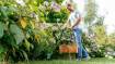 Akutrimmer Bosch EasyGrassCut 18V-26 - ilma aku ja laadijata