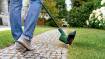 EasyMower 18V-32-200 + EasyGrassCut 18V-26 BT Combiset 1 x 4.0 Ah and charger AL1830