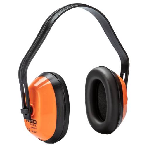 Earmuff protector