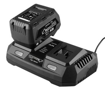 Dual charger for Energy+ batteries
