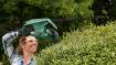 EasyHedgeCut 55 hedge trimmer 420W with blade cover