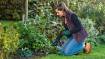 Plant shovel 80 mm