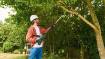 Cordless Telescopic Pruner UniversalChainPole 18 - Without battery and charger