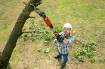 AdvancedPrune 18V-45 cordless pruning shears, without battery and charger