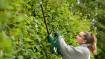 EasyHedgecut 18-52-13 cordless hedge trimmer 52cm without battery and charger
