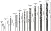 Metallipuuri komplekt HSS-G 135° Robust Line 10-osaline