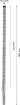 SDS-plus-7X puur 12x300x365mm, 1 tk.
