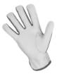 Work gloves, 2121X, goat leather, size 8 ", CE