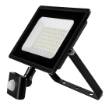 Spotlight with a motion sensor SMD 50W 4000 lm 230V