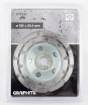 Diamond grinding disc, 2 segments, 125 x 22.2 mm, dry