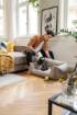 Akuga tolmuimeja VC 4 Cordless myHome Pet