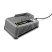 Kiirlaadija Battery Power+ 18/60