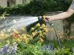 Multifunction nozzles set Premium