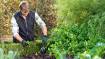 Hand Fork 81 mm
