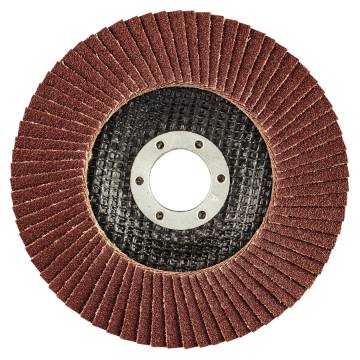 Grinding disc 125 x 22.2 mm, K100