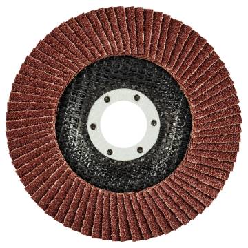 Grinding disc 115 x 22.2 mm, K80