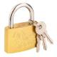 Padlock, 50 mm, 2 keys