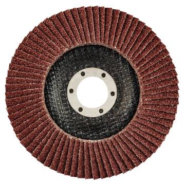 Grinding disc 125 x 22.2 mm, K40