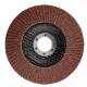 Flap wheel 125 x 22.2 mm, P100