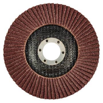 Grinding disc 125 x 22.2 mm, K80